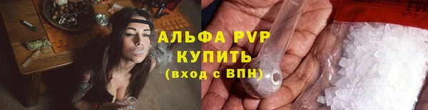дживик Нефтекумск